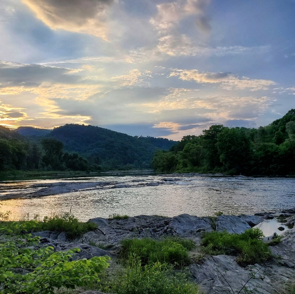 Meet the Seller - Hi, I'm Kym! - Picture 6 of 14